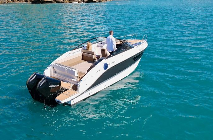 Quicksilver 805 | Delfin
