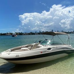 Sea Ray Sundeck 240 | Sundeck 1746