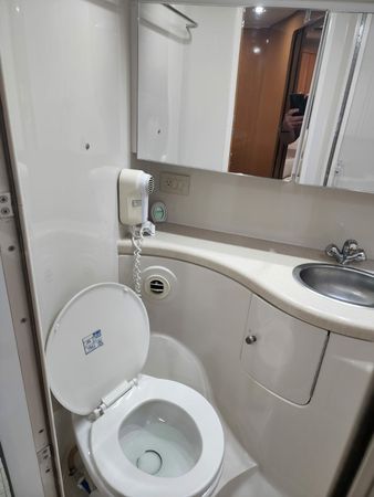 Regal 42 | Great White