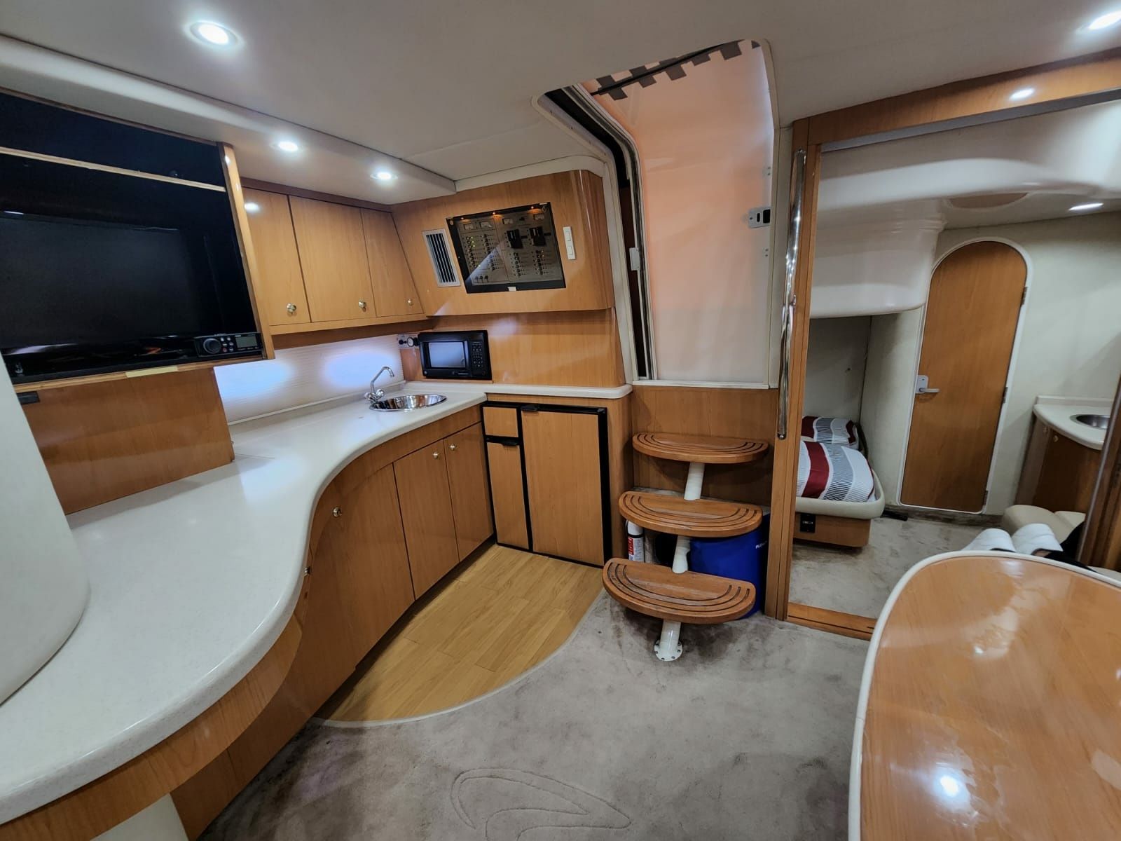 Regal 42 | Great White