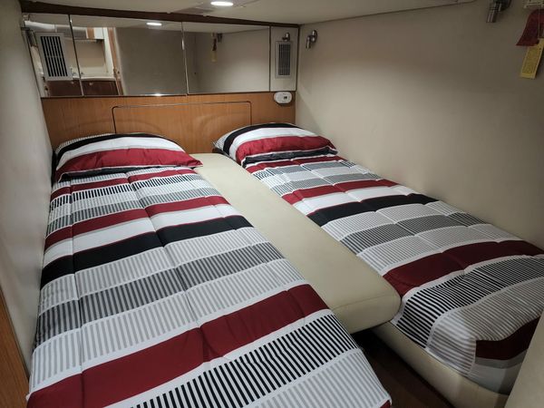 Regal 42 | Great White