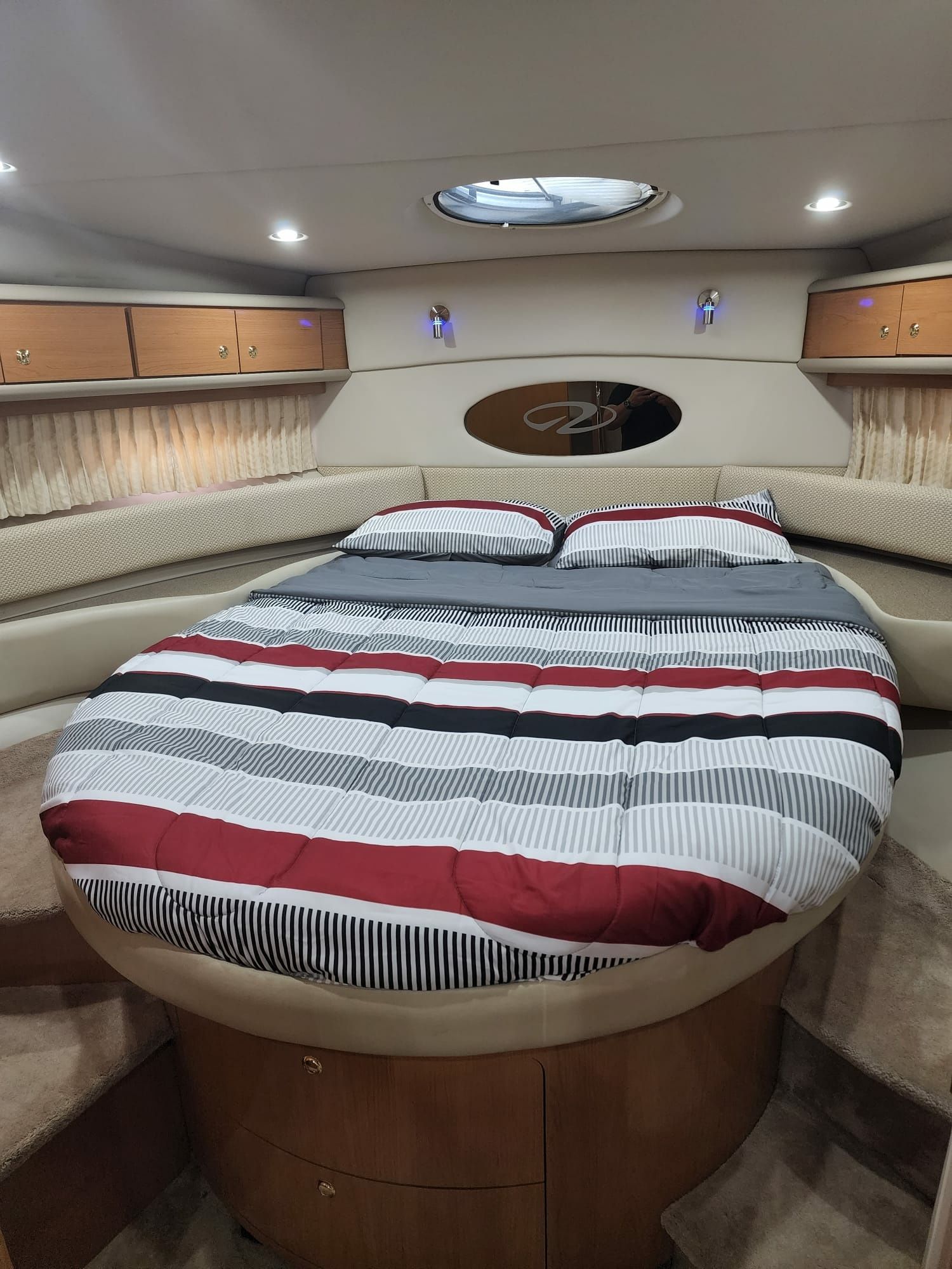 Regal 42 | Great White