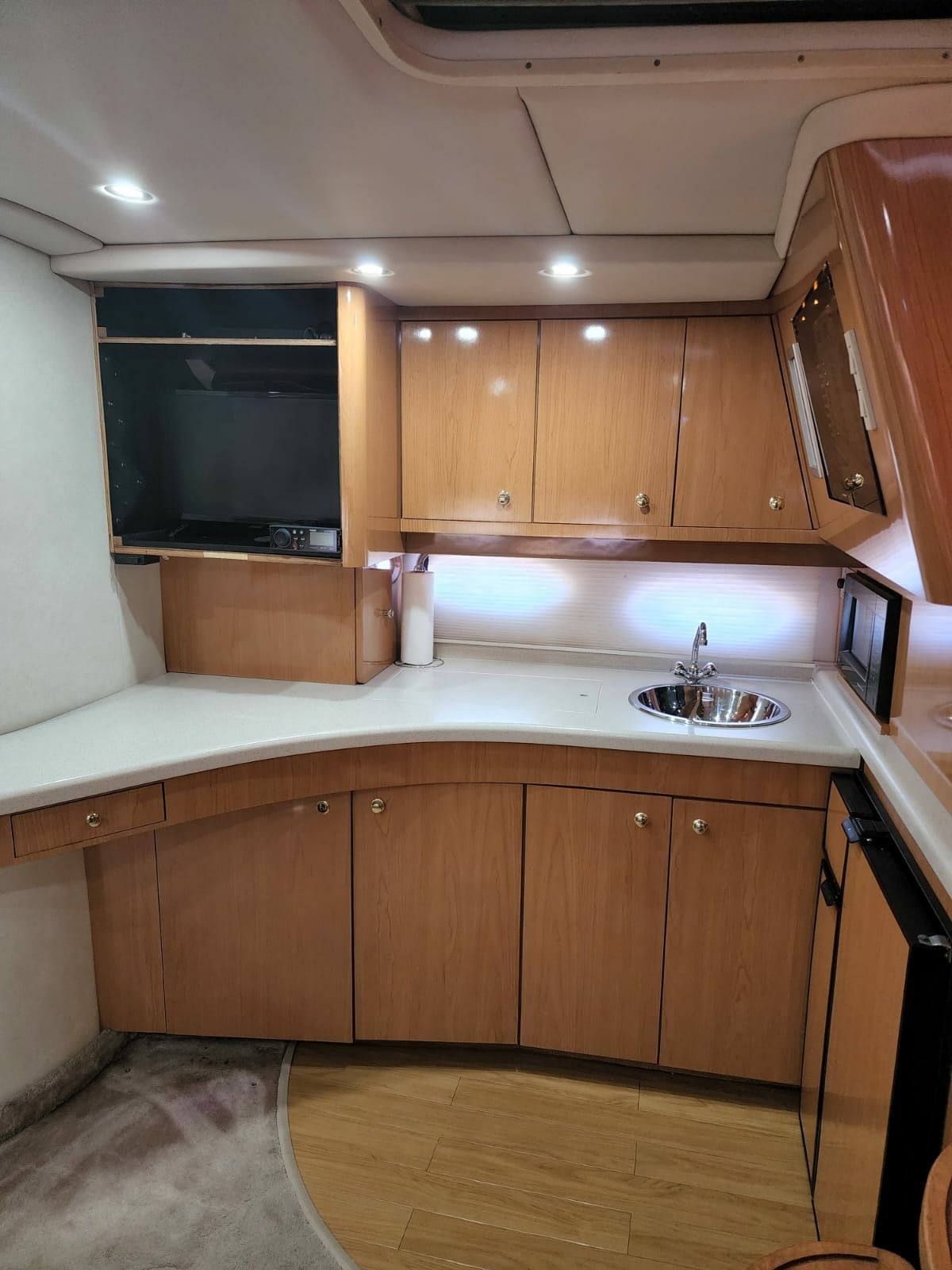 Regal 42 | Great White