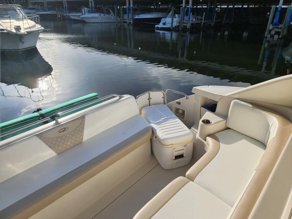 Regal 42 | Great White