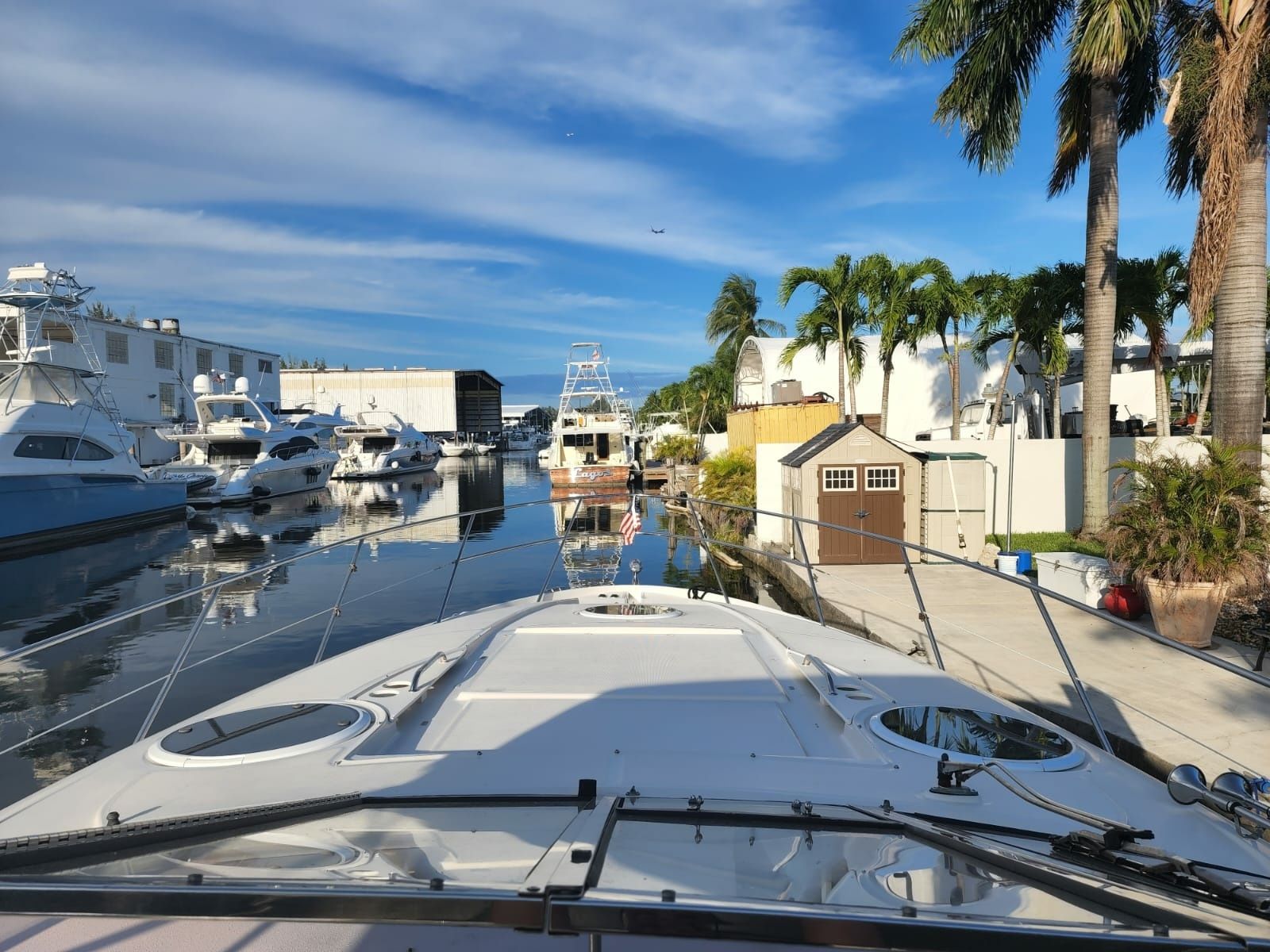 Regal 42 | Great White