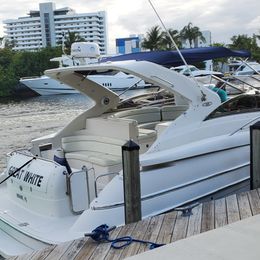 Regal 42 | Great White