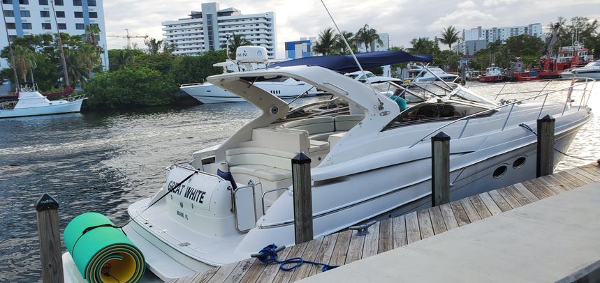 Regal 42 | Great White