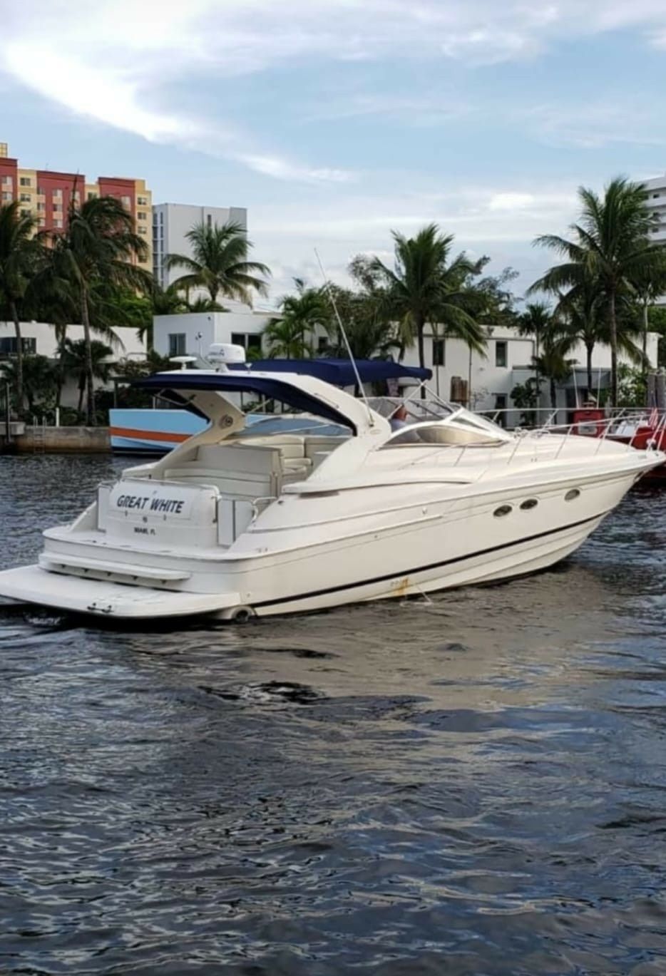 Regal 42 | Great White