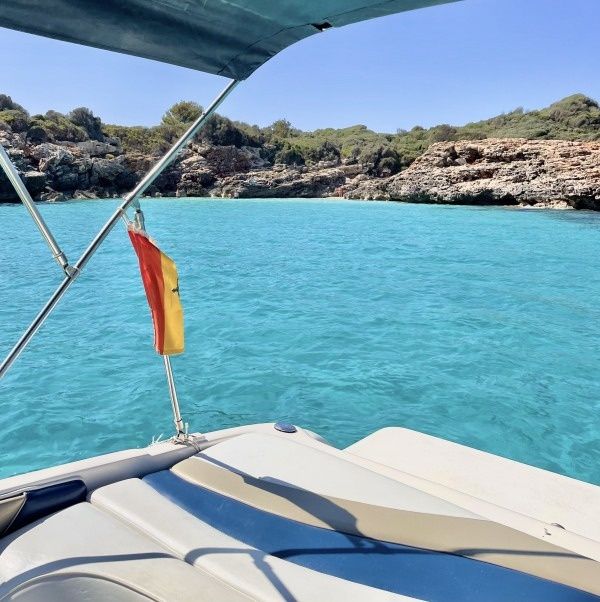 Rinker 192 | Harley Quinn