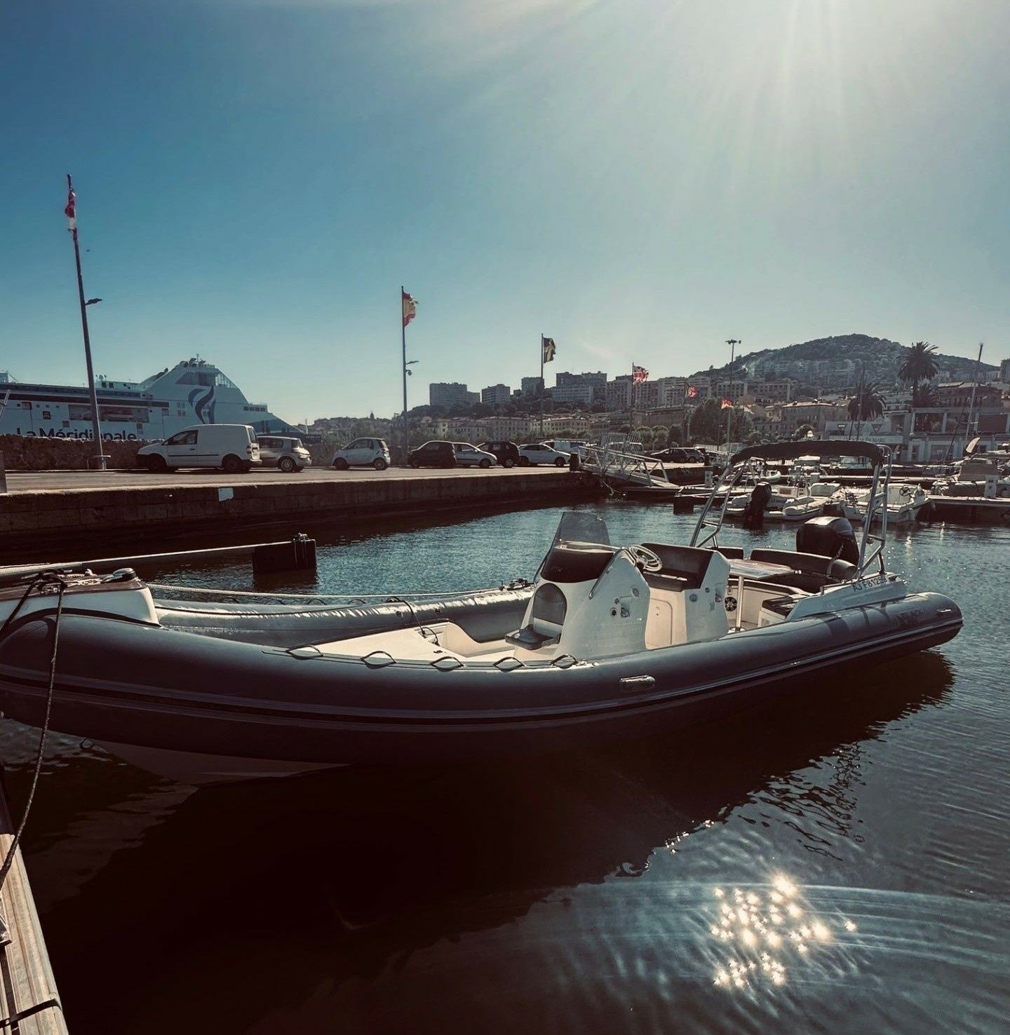 Black Fin Elegance 9 | Elisa Dream