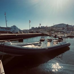 Black Fin Elegance 9 | Elisa Dream