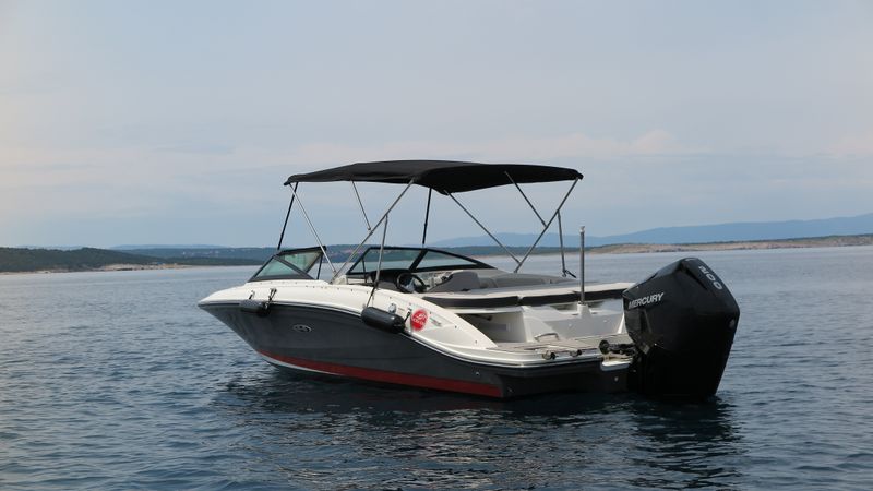 Sea Ray SPX 210 | 25