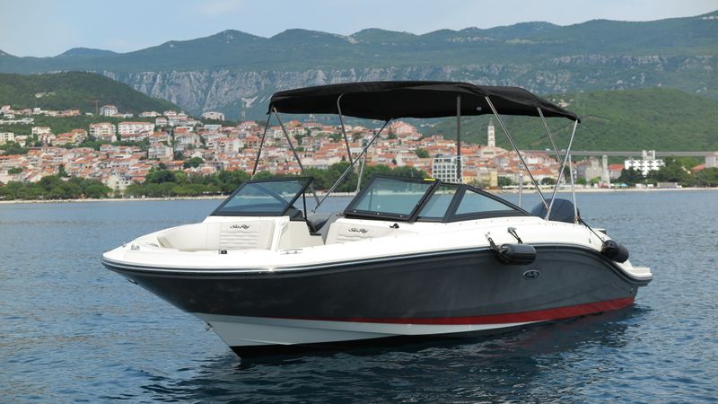 Sea Ray SPX 210 | 25
