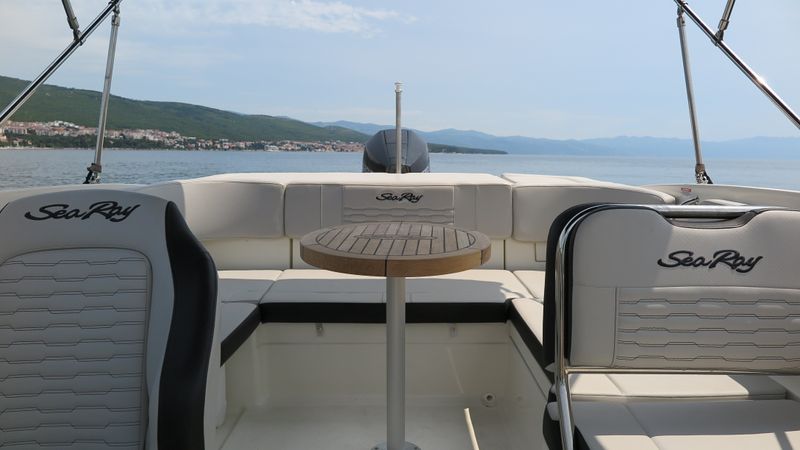 Sea Ray SPX 210 | 25