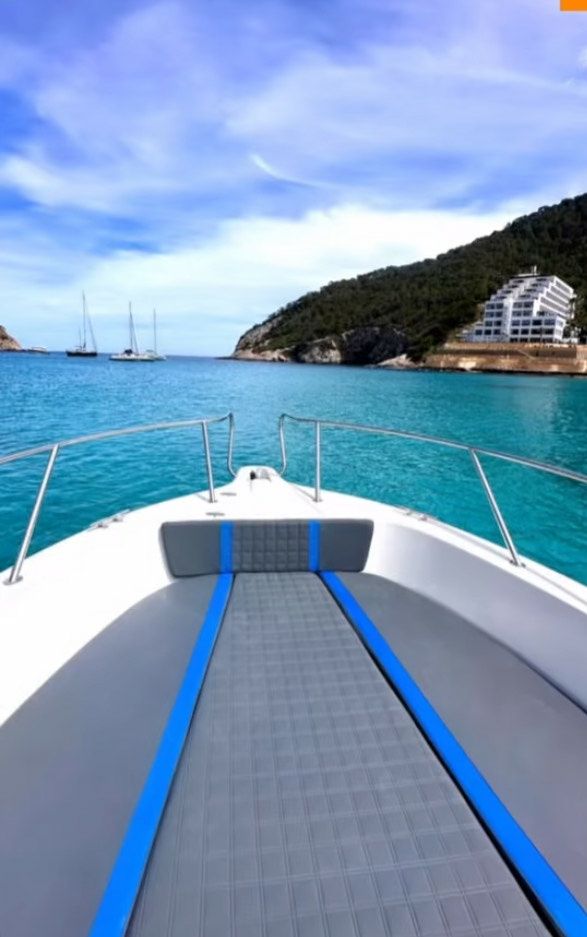 White Shark 260 | Sea Blue