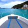 White Shark 260 | Sea Blue