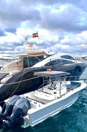 White Shark 260 | Sea Blue