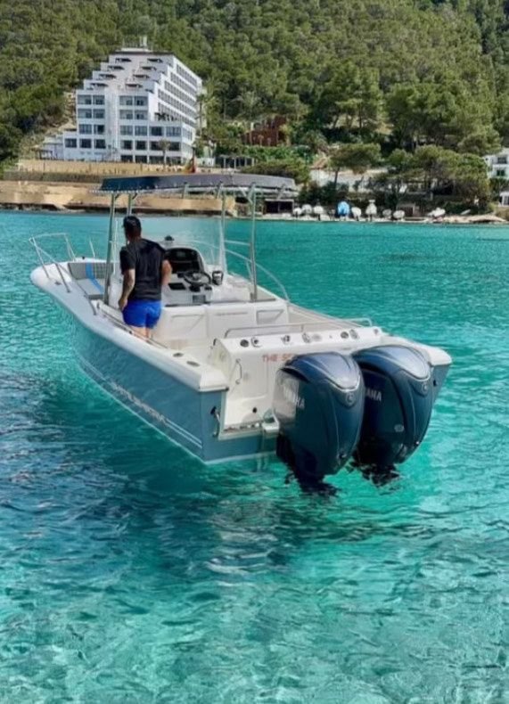 White Shark 260 | Sea Blue