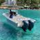 White Shark 260 | Sea Blue