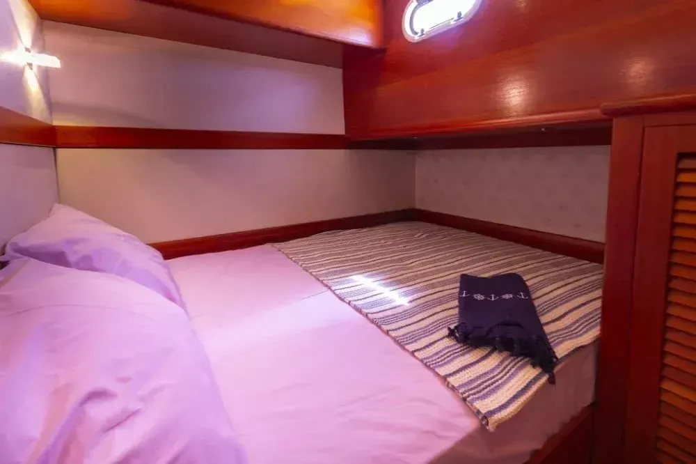 Custom Built 55 | Maia