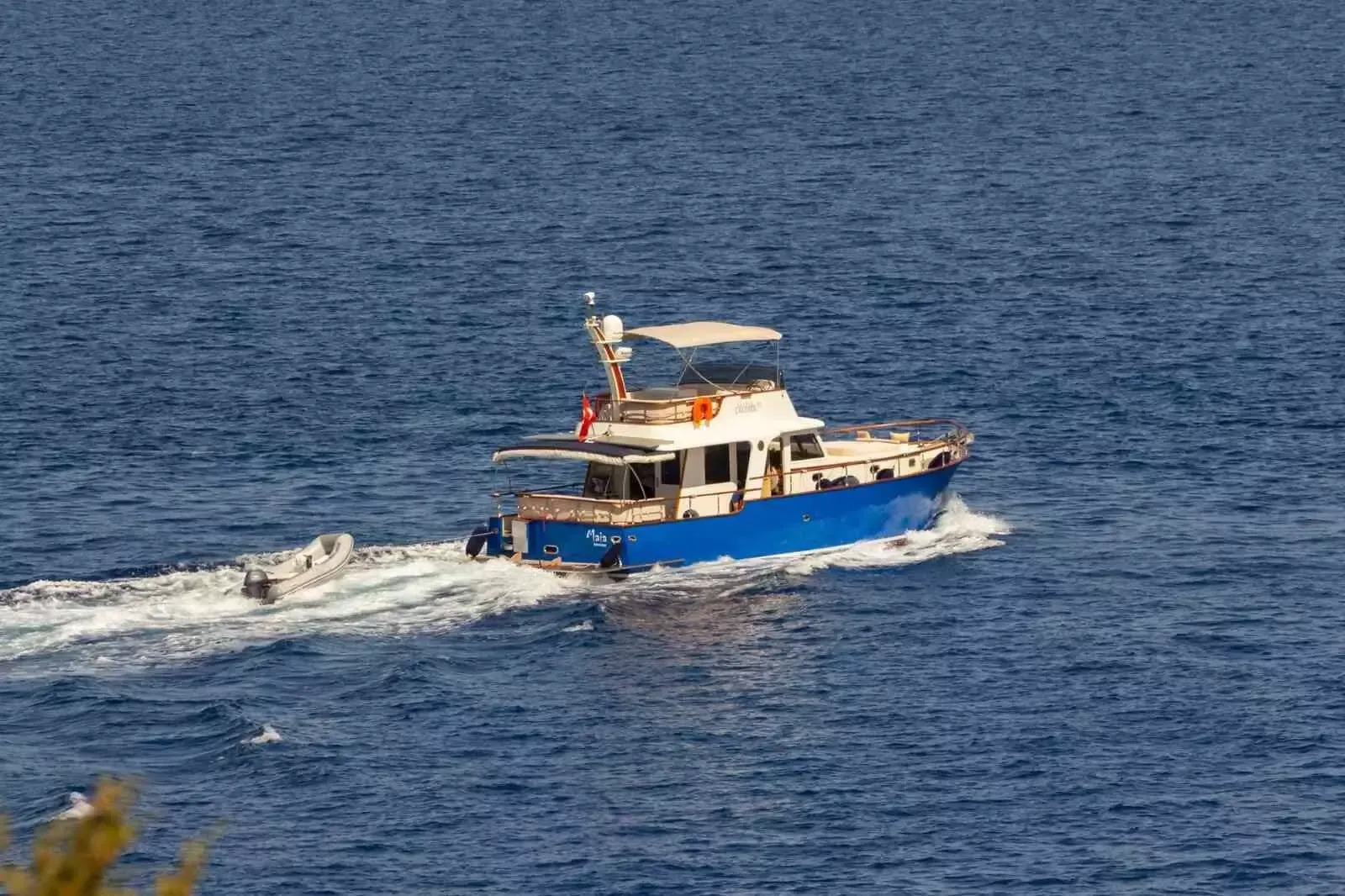 Custom Built 55 | Maia