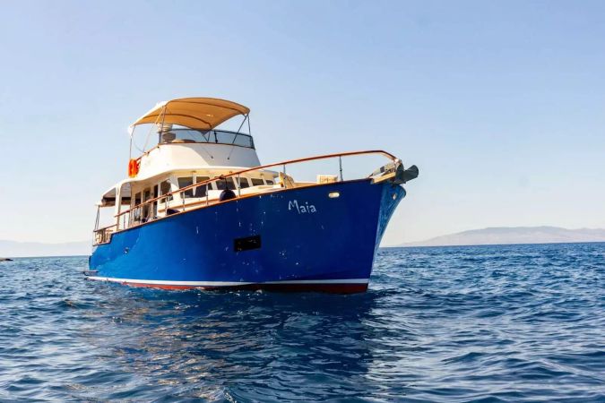 Custom Built 55 | Maia