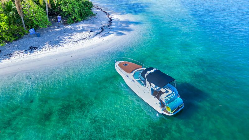 Sea Ray Sundancer 320 | Sundancer 2