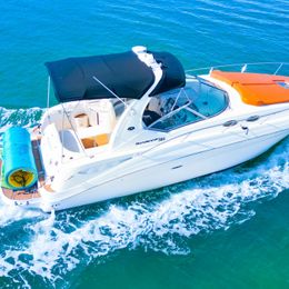 Sea Ray Sundancer 320 | Sundancer 2