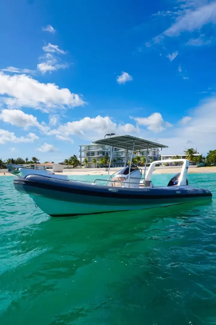 Horizon Boat SXM 760 | Pulse