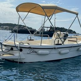 Betina Shipyard 500 | Dina