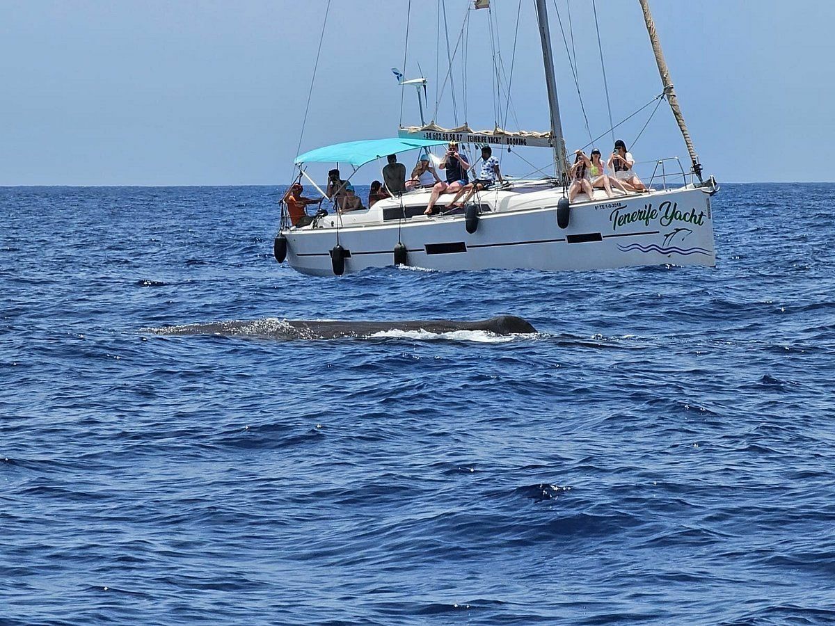 Dufour 410 | Mizendoha