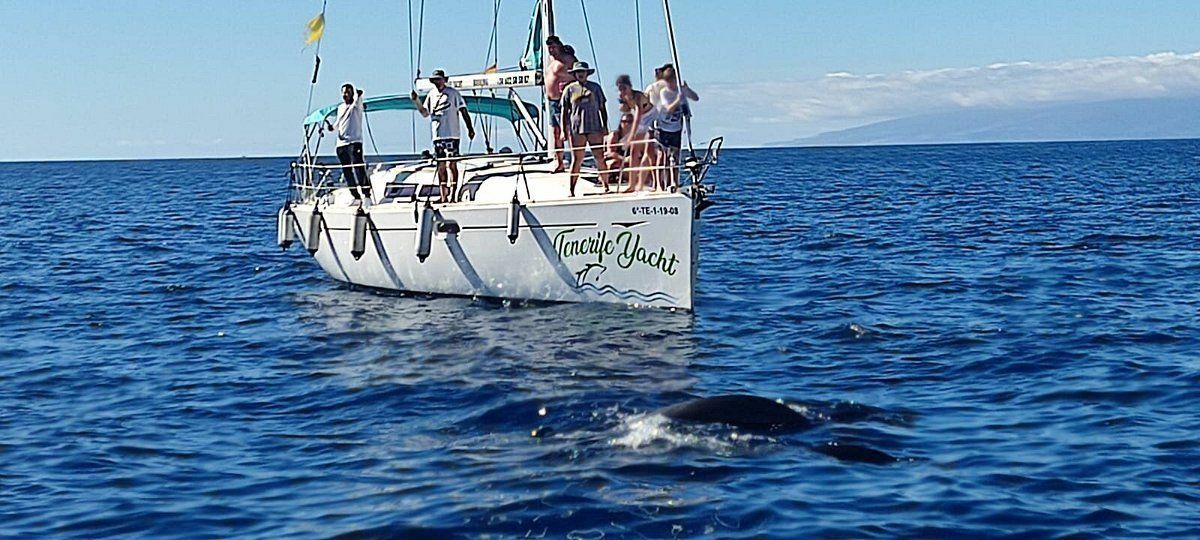 Jeanneau Sun Odyssey 39i | Lina Siete