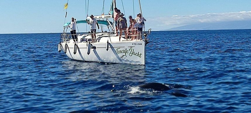 Jeanneau Sun Odyssey 39i | Lina Siete