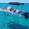 Pacific Craft 670 | Smile