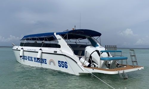 Custom Built 40 | Coco-Kik