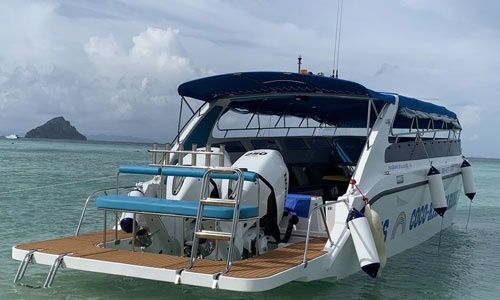 Custom Built 40 | Coco-Kik