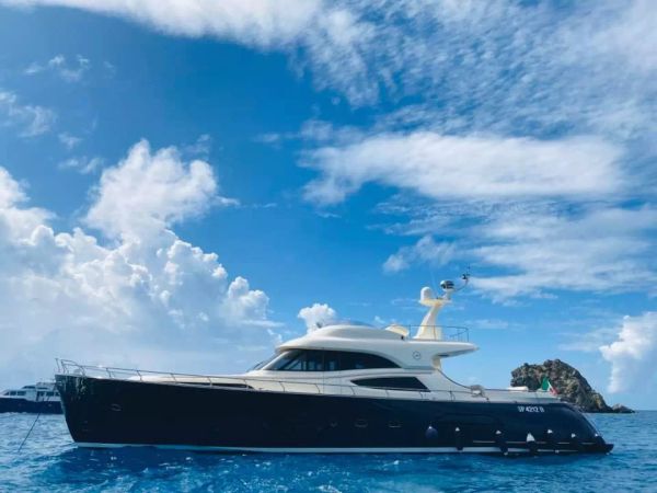 Mochi Craft Dolphin 74 | Polissena