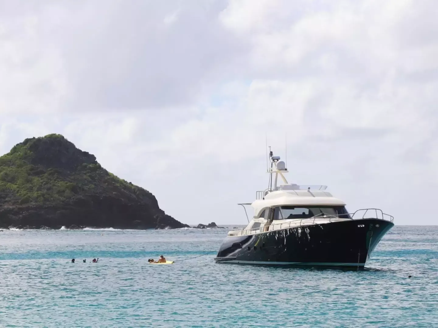 Mochi Craft Dolphin 74 | Polissena