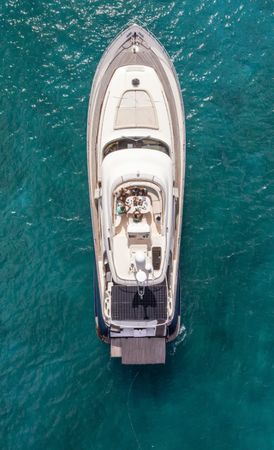 Mochi Craft Dolphin 74 | Polissena