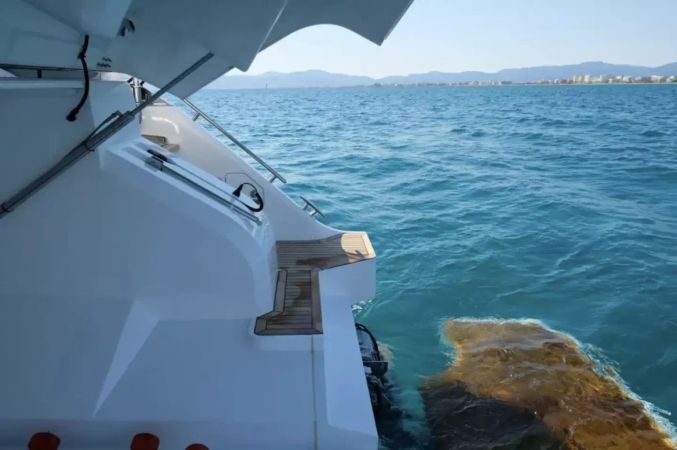 Princess V55 | Shiva