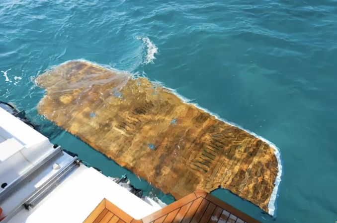 Princess V55 | Shiva