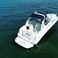 Sea Ray Sundancer 340 | Golf To Gulf
