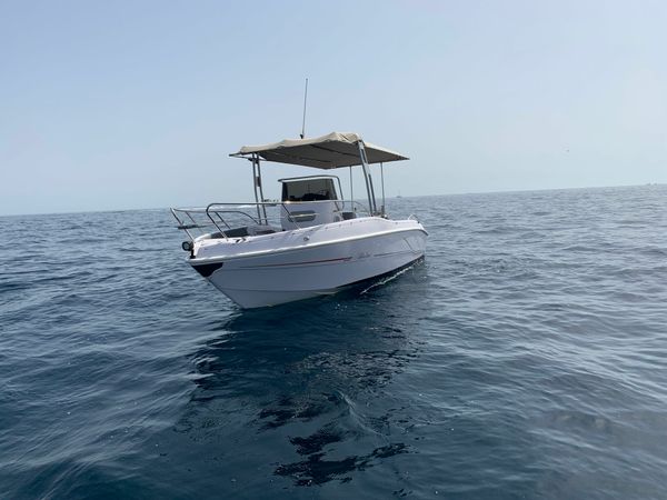 Bluline 21 | Terymar