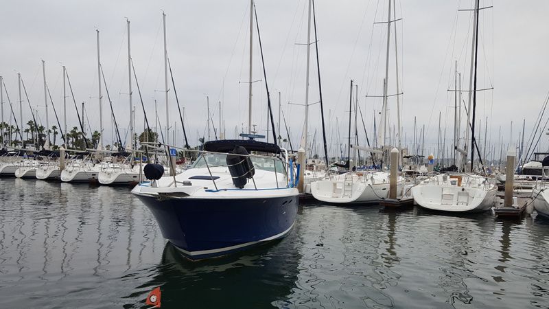 Wellcraft Gran Sport 3400 | Antonina