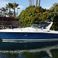 Wellcraft Gran Sport 3400 | Antonina