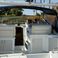 Wellcraft Gran Sport 3400 | Antonina