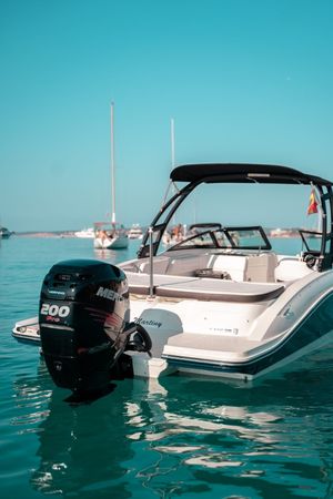 Sea Ray SPX 210 | Martiny