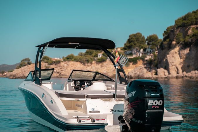 Sea Ray SPX 210 | Martiny