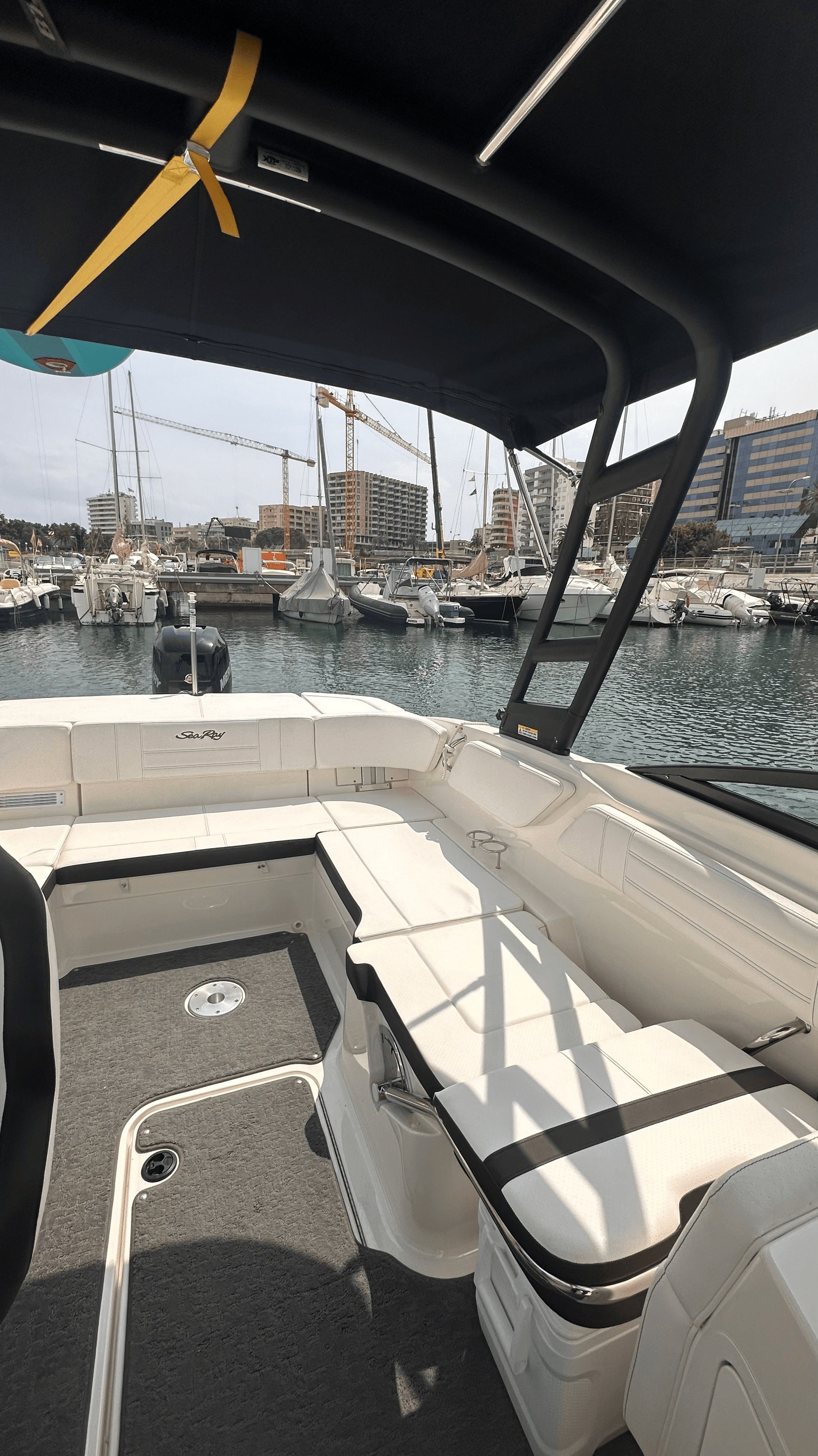 Sea Ray SPX 210 | Martiny