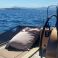 Dod Yachts 45 | Fastgold